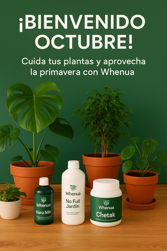 ¡Bienvenido Octubre! 🌱 Cuida tus plantas y aprovecha la primavera con Whenua