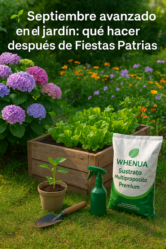 🌱 Septiembre avanzado en el jardín: qué hacer después de Fiestas Patrias