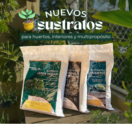 ¿Qué sustrato Whenua usar en otoño para un jardín saludable?