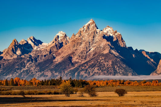 ¡Bienvenido Invierno en Chile! Consejos para Preparar tu Jardín!