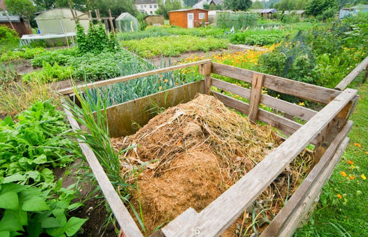 Septiembre en el jardín: prepara tu suelo y aprovecha esta temporada