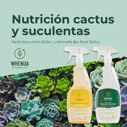 Nutrición Cactus y Suculentas