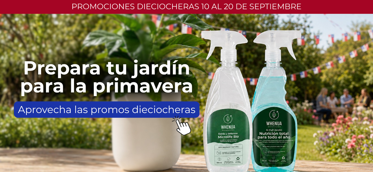 Promociones dieciocheras del 10 al 20 de septiembre: prepara tu jardín para la primavera