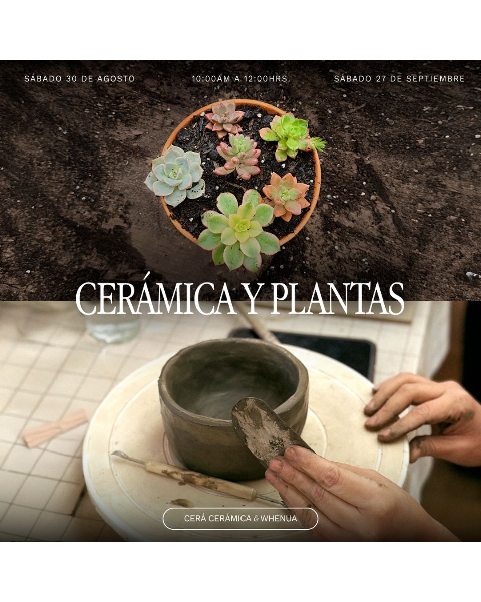 Taller Cerámica & Suculentas – Creación de Maceteros Personalizados