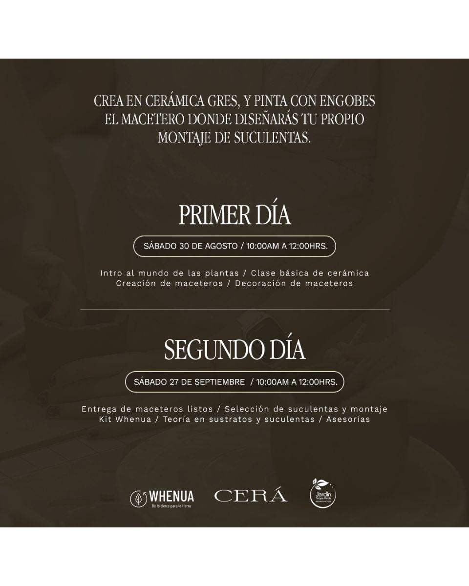 Taller Cerámica & Suculentas – Creación de Maceteros Personalizados