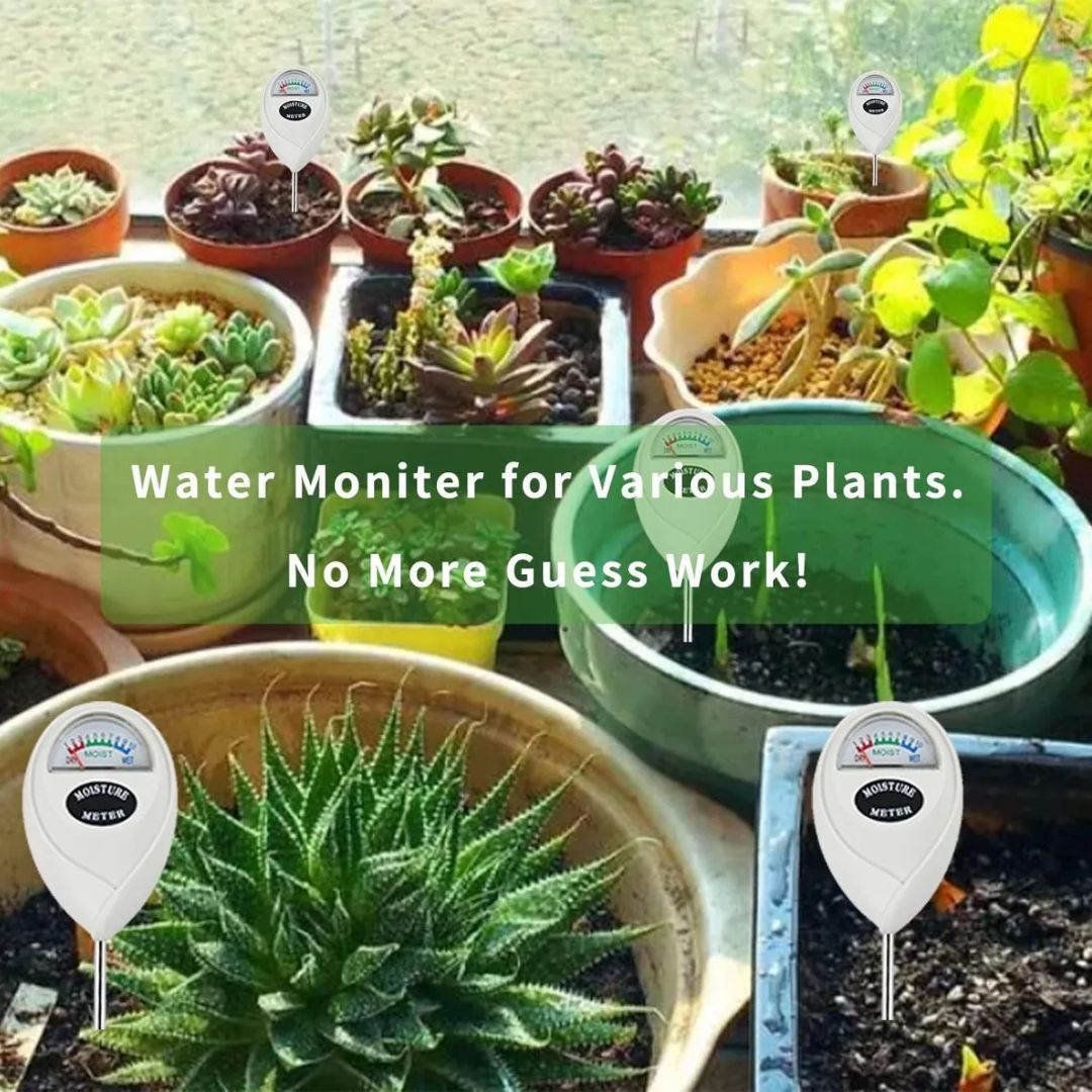 Medidor de Humedad para Plantas – Sin batería