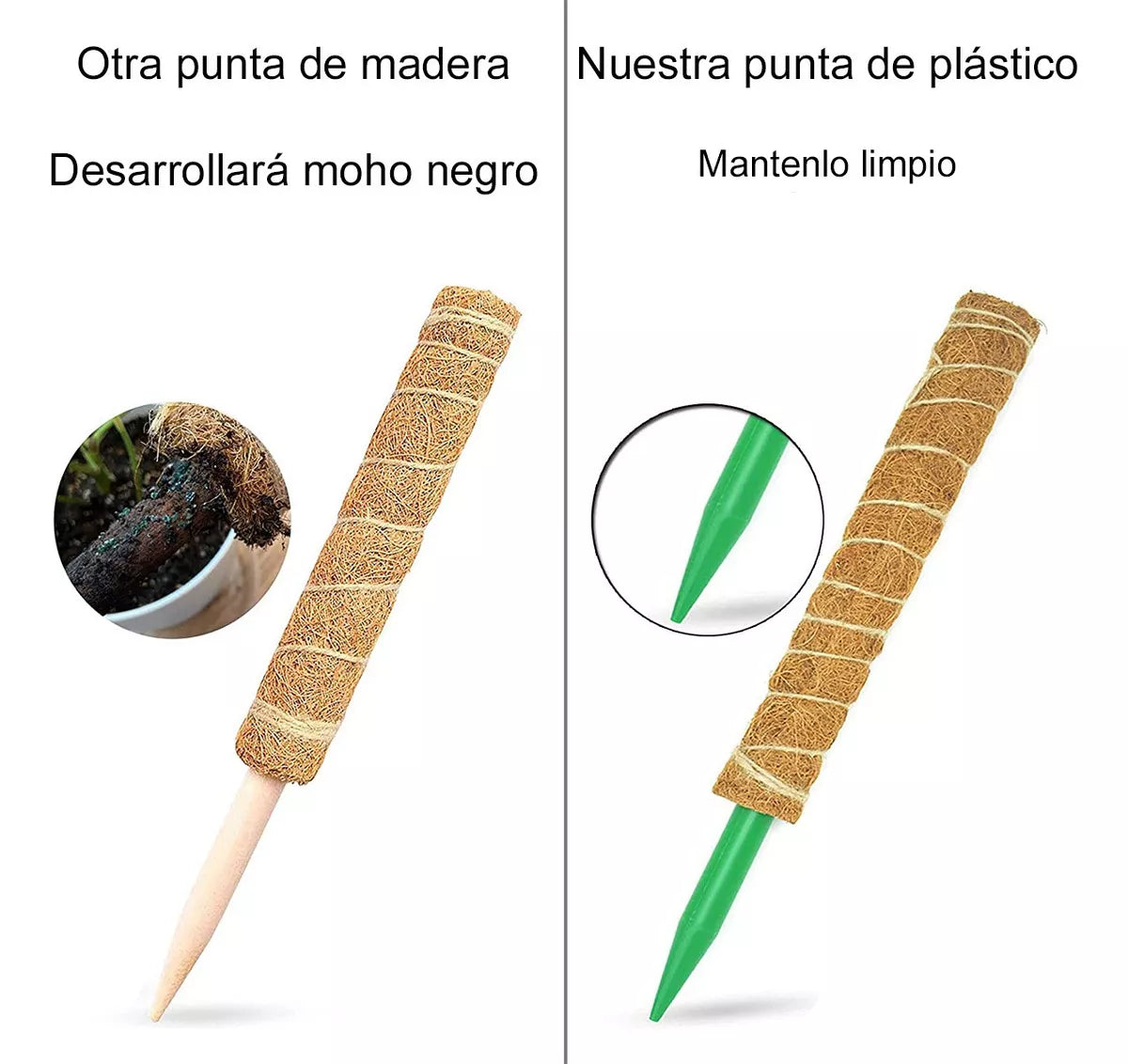 Juego de Tutores de Musgo para Plantas Trepadoras – 2 Tutores de Coco + Accesorios