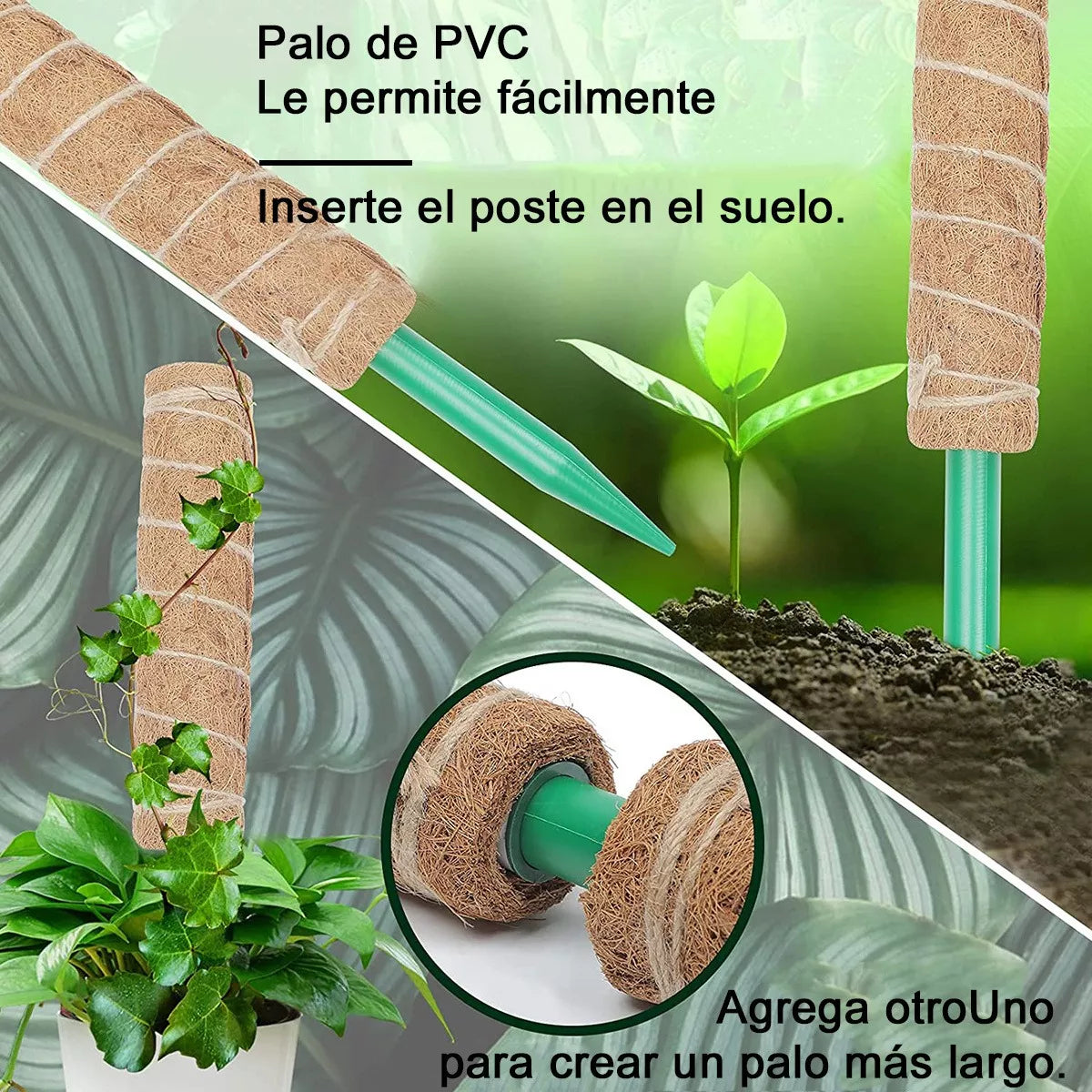 Juego de Tutores de Musgo para Plantas Trepadoras – 2 Tutores de Coco + Accesorios