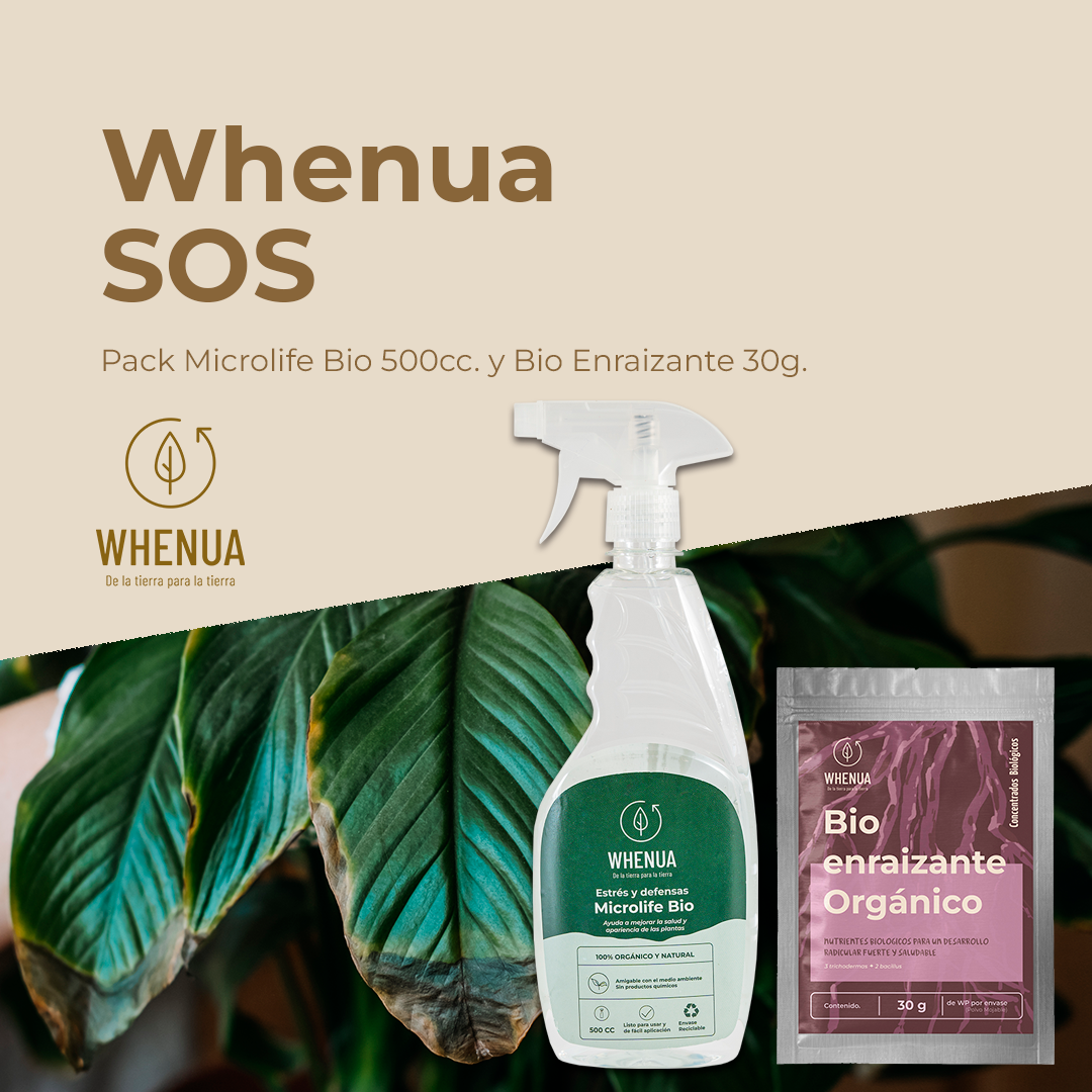 Kit Recupera Plantas – Enraizante + Bioestimulante Whenua