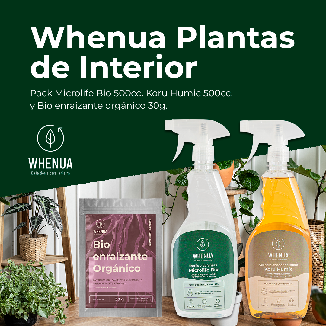 Pack Cuidado Integral Plantas de Interior – Raíces Fuertes y Follaje Saludable
