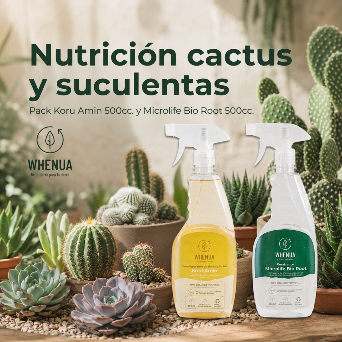 Envase de Pack Cuidado Suculentas de Whenua, pack de productos Whenua