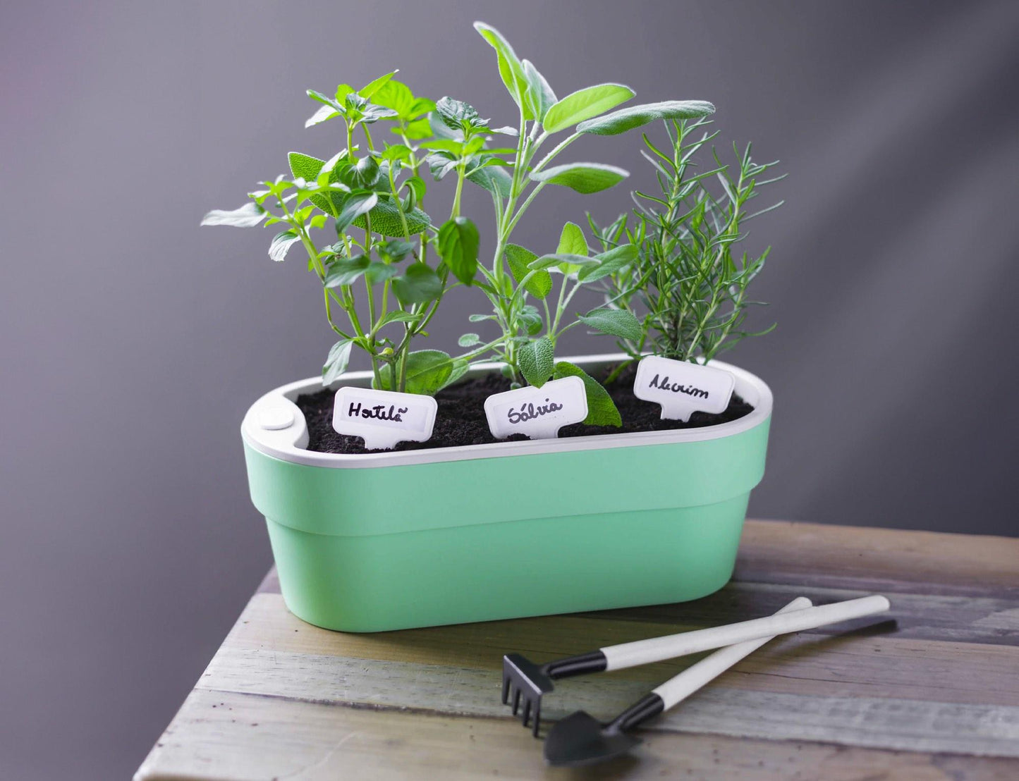 MACETERO HUERTA AUTO RIEGO VERDE MENTA 1,75 LT