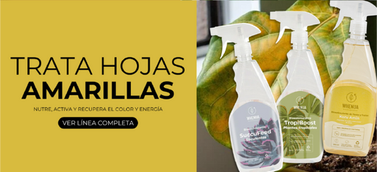 ¿Por qué tus plantas se ven tristes aunque las riegues? La salud del suelo importa más de lo que crees