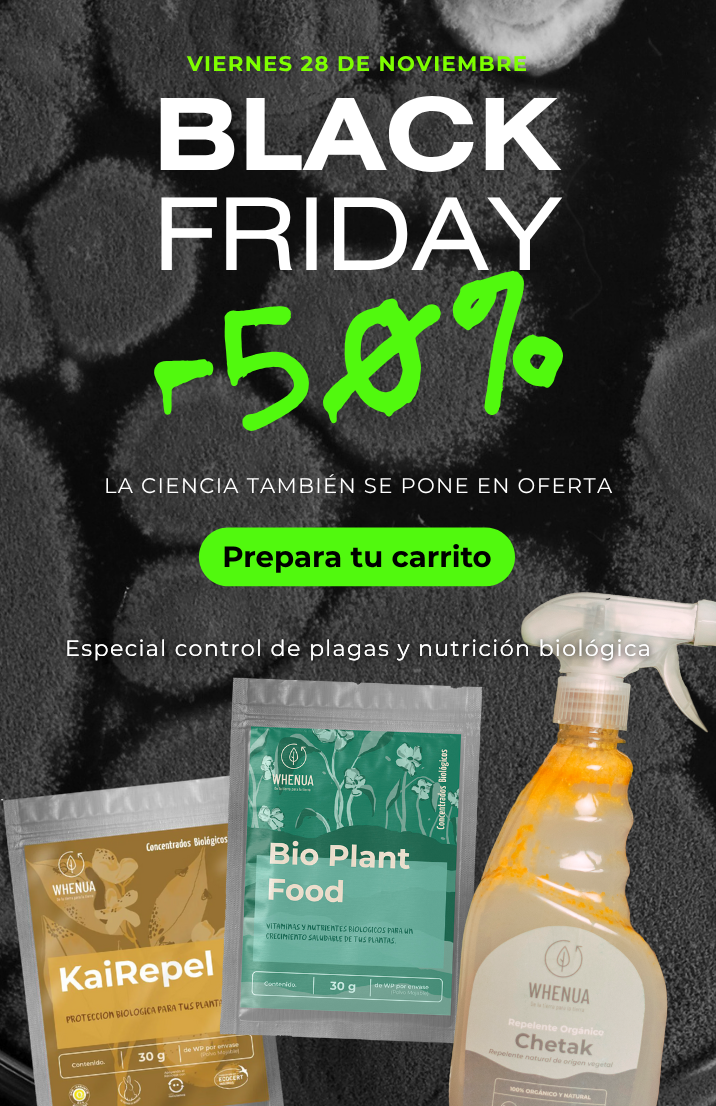 Qué hacer en el jardín durante la última semana de noviembre en Chile (Guía práctica 2025)