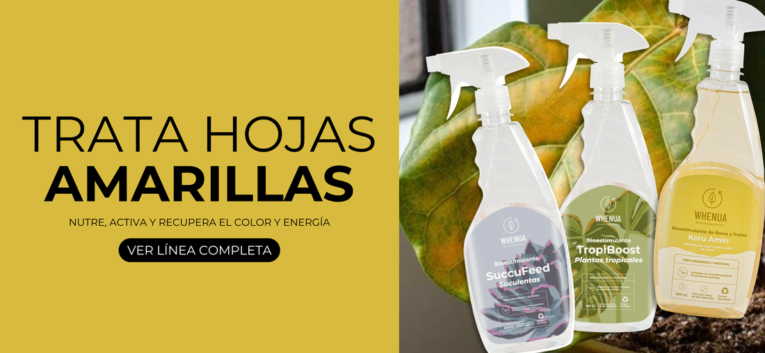 Cómo mantener tu jardín y plantas durante las vacaciones de verano (sin preocuparte)