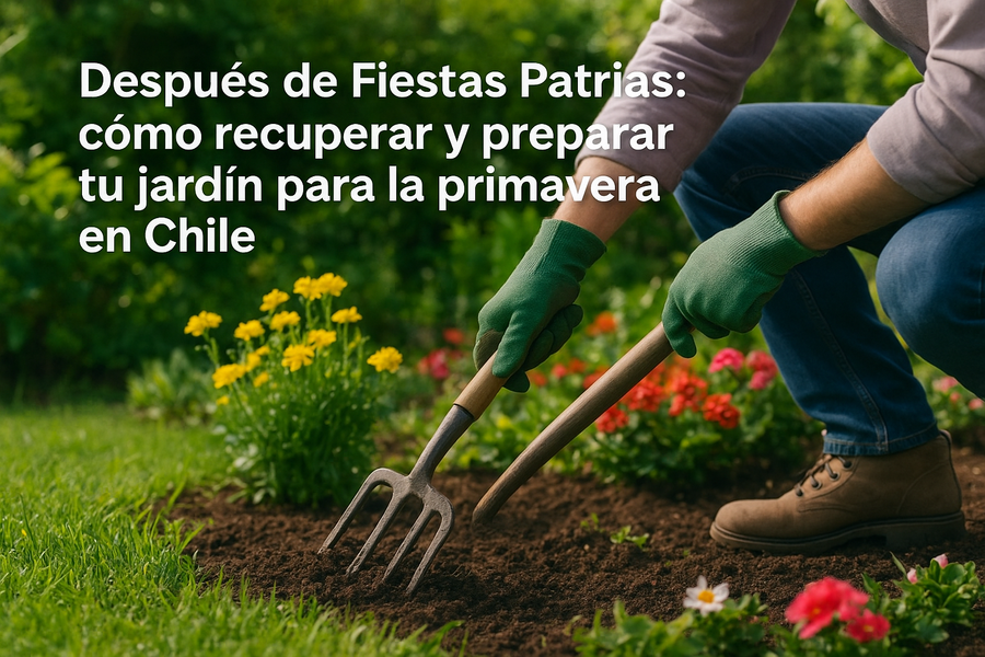 Después de Fiestas Patrias: cómo recuperar y preparar tu jardín para la primavera en Chile
