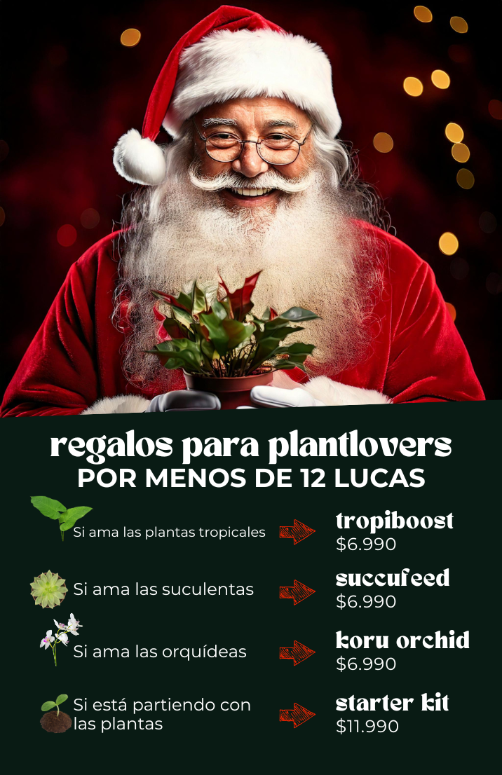 Ideas de regalos navideños para amantes de las plantas
