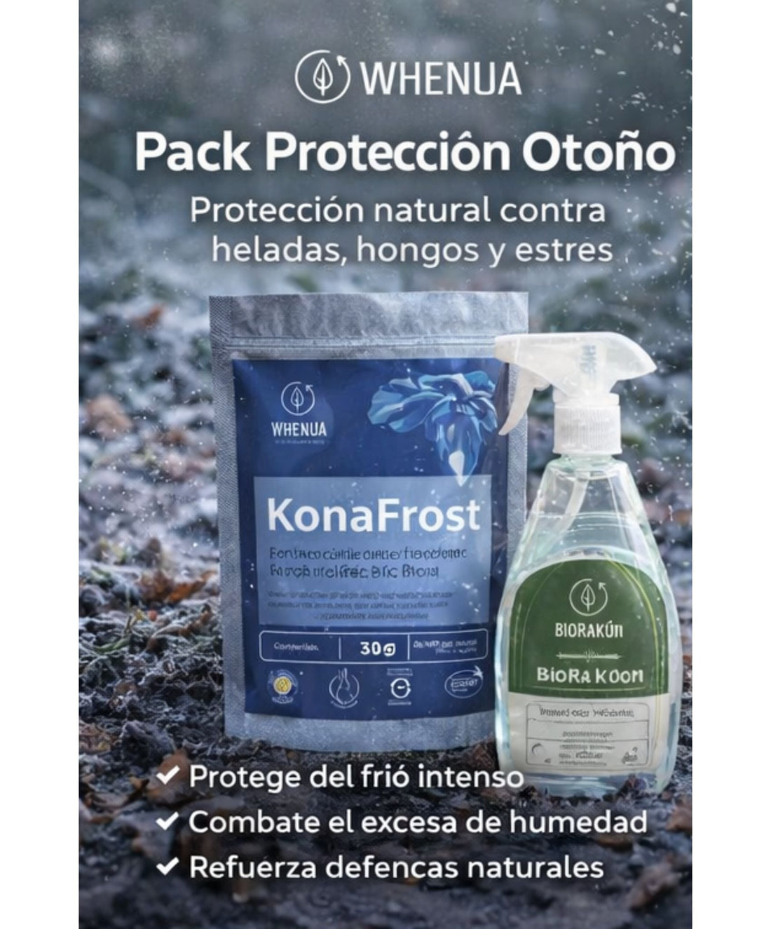 Cómo cuidar tus plantas en invierno: guía completa paso a paso