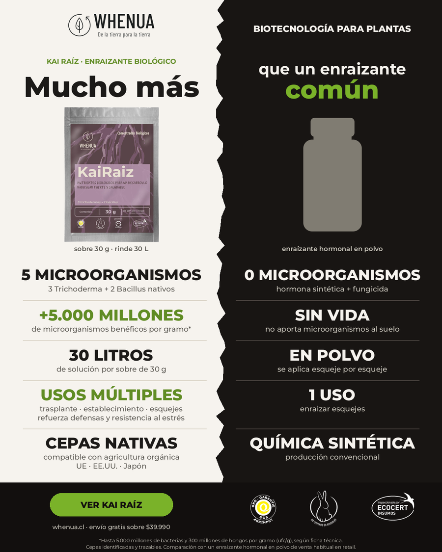 Comparativa: enraizante natural con Trichoderma Kai Raíz vs enraizante hormonal común
