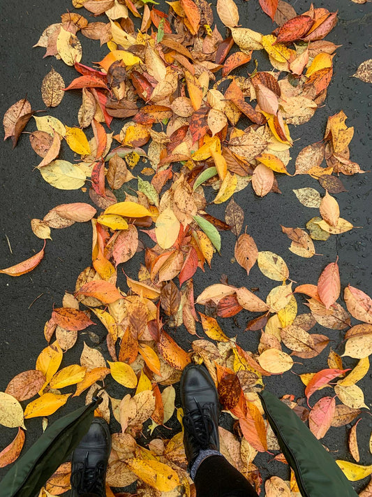 Inicio de Junio: Preparando tu Jardín para el Invierno