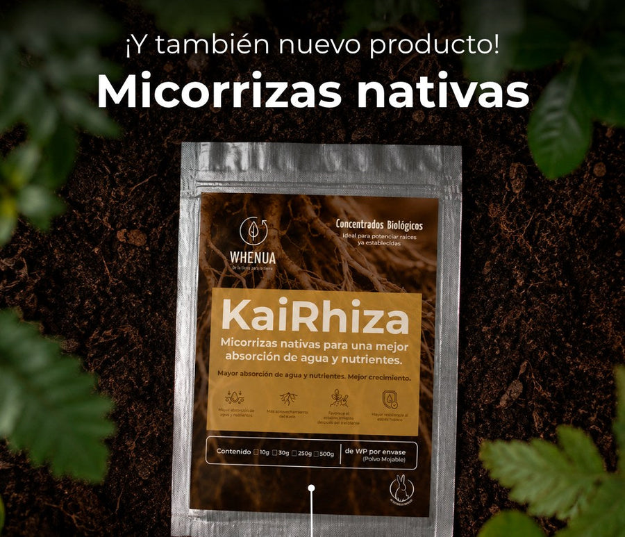 Sobre de Kai Rhiza, micorrizas nativas de Whenua, sobre tierra oscura