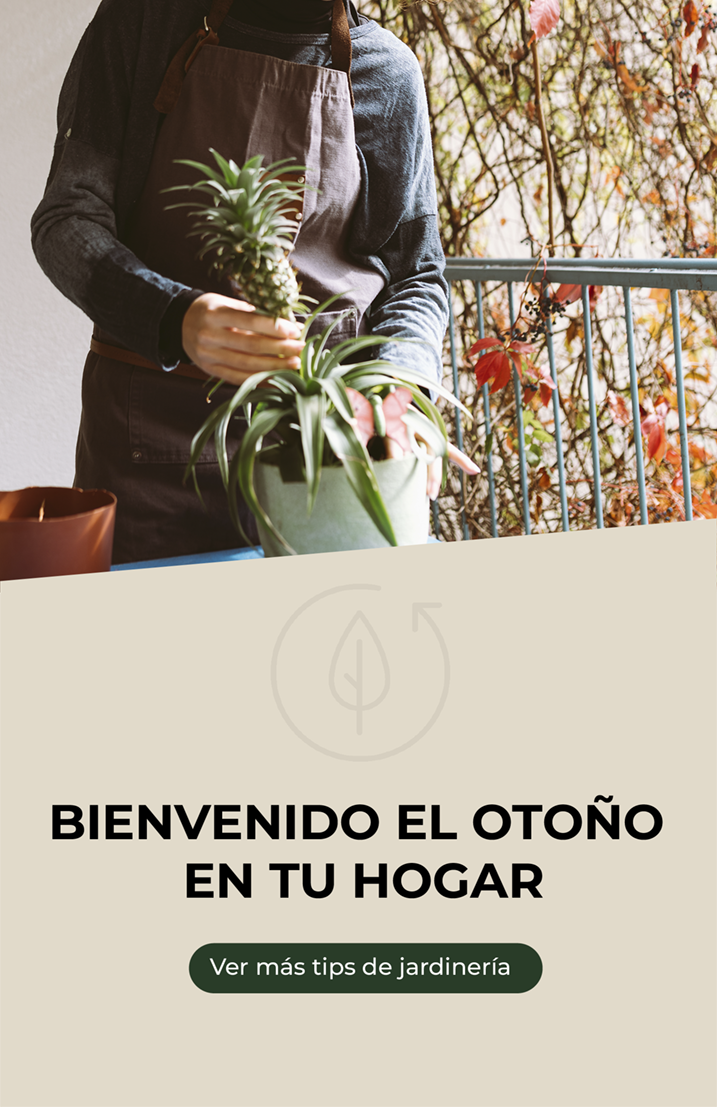 Campaña: "Prepara tu jardín para el otoño"