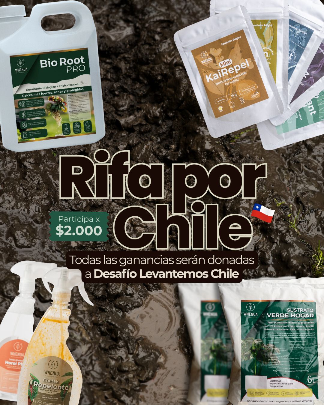Ticket Solidario | Rifa por Chile – Gana uno de 4 Premios y Apoya a Desafío Levantemos Chile