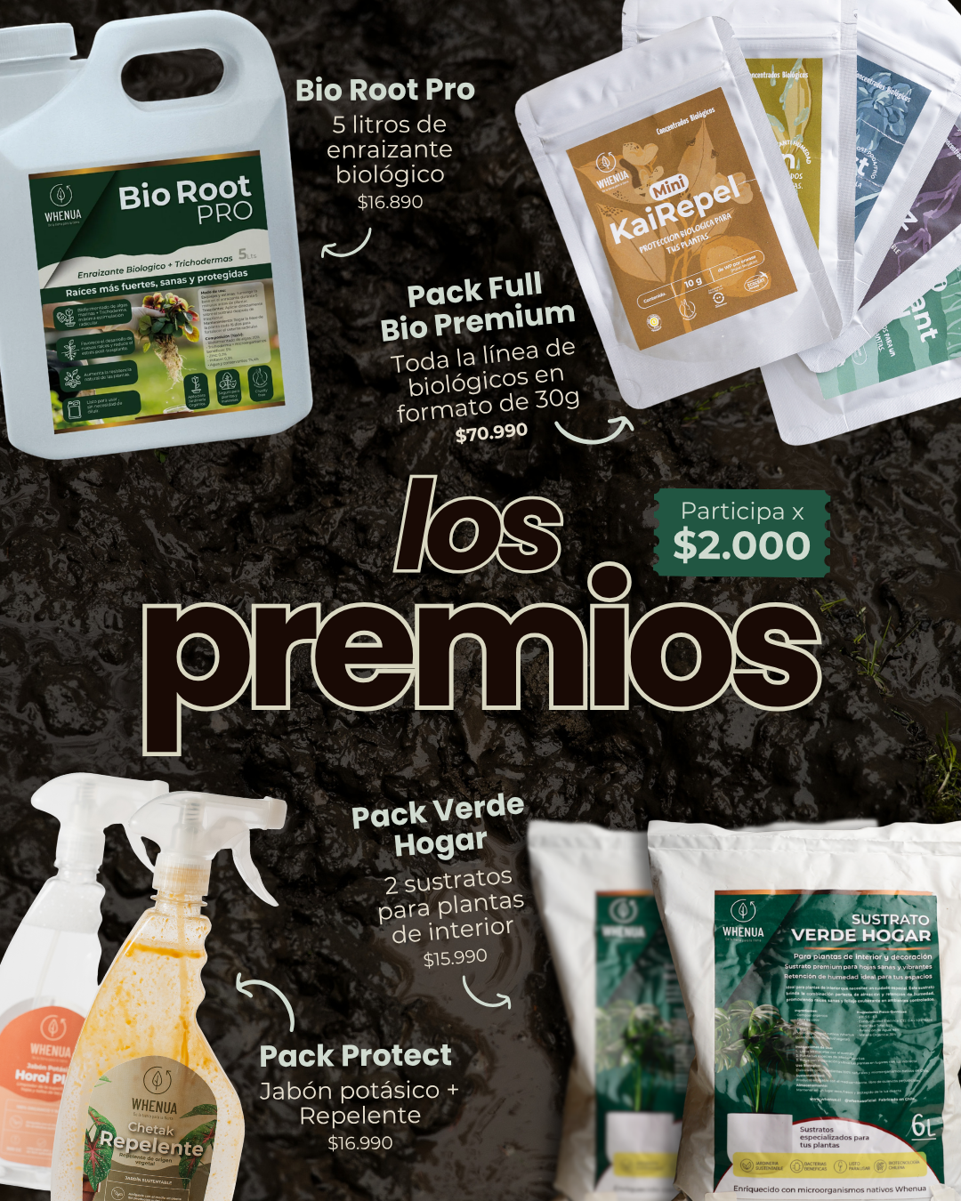 Ticket Solidario | Rifa por Chile – Gana uno de 4 Premios y Apoya a Desafío Levantemos Chile