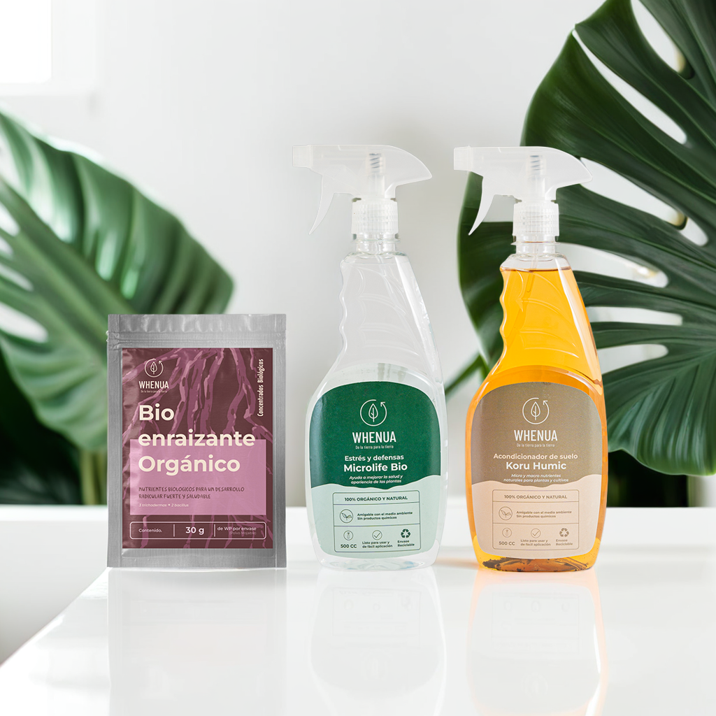 Pack Cuidado Integral — Plantas de Interior