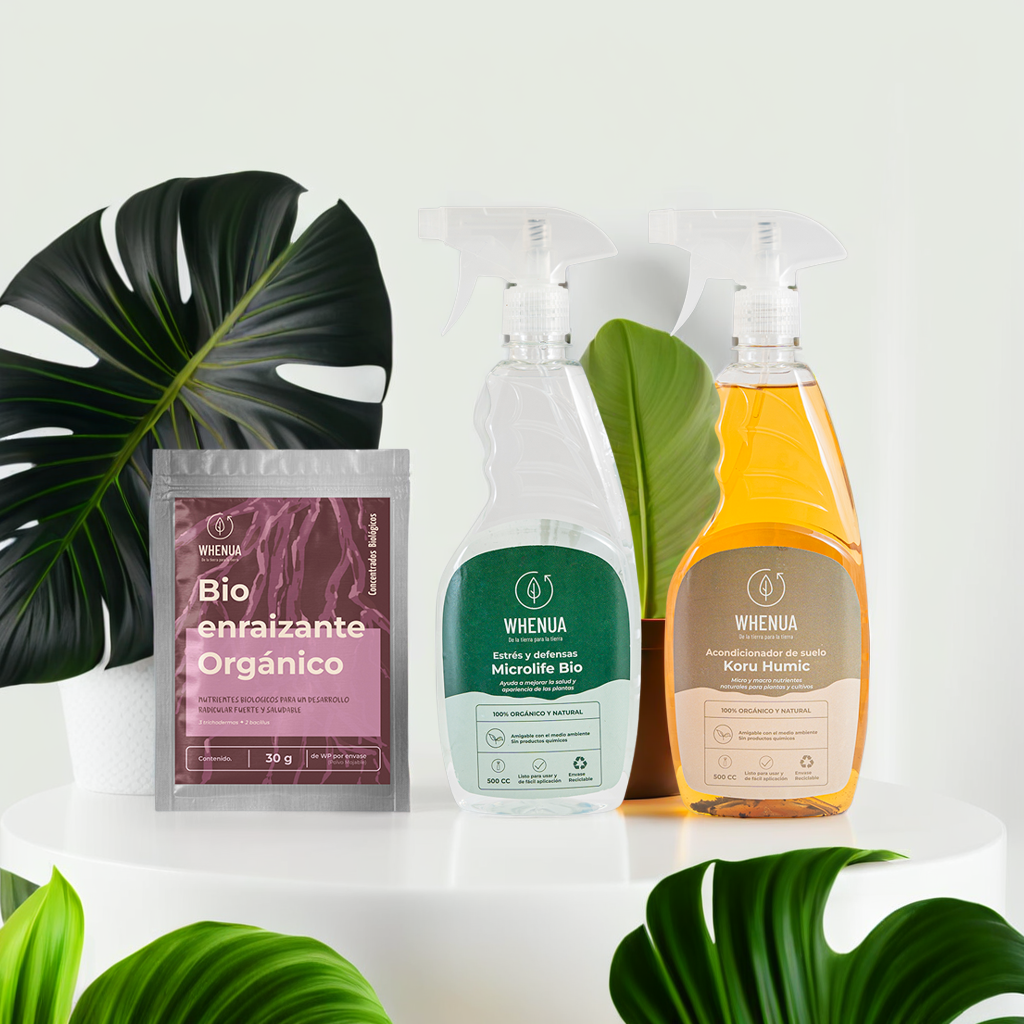 Pack Cuidado Integral — Plantas de Interior