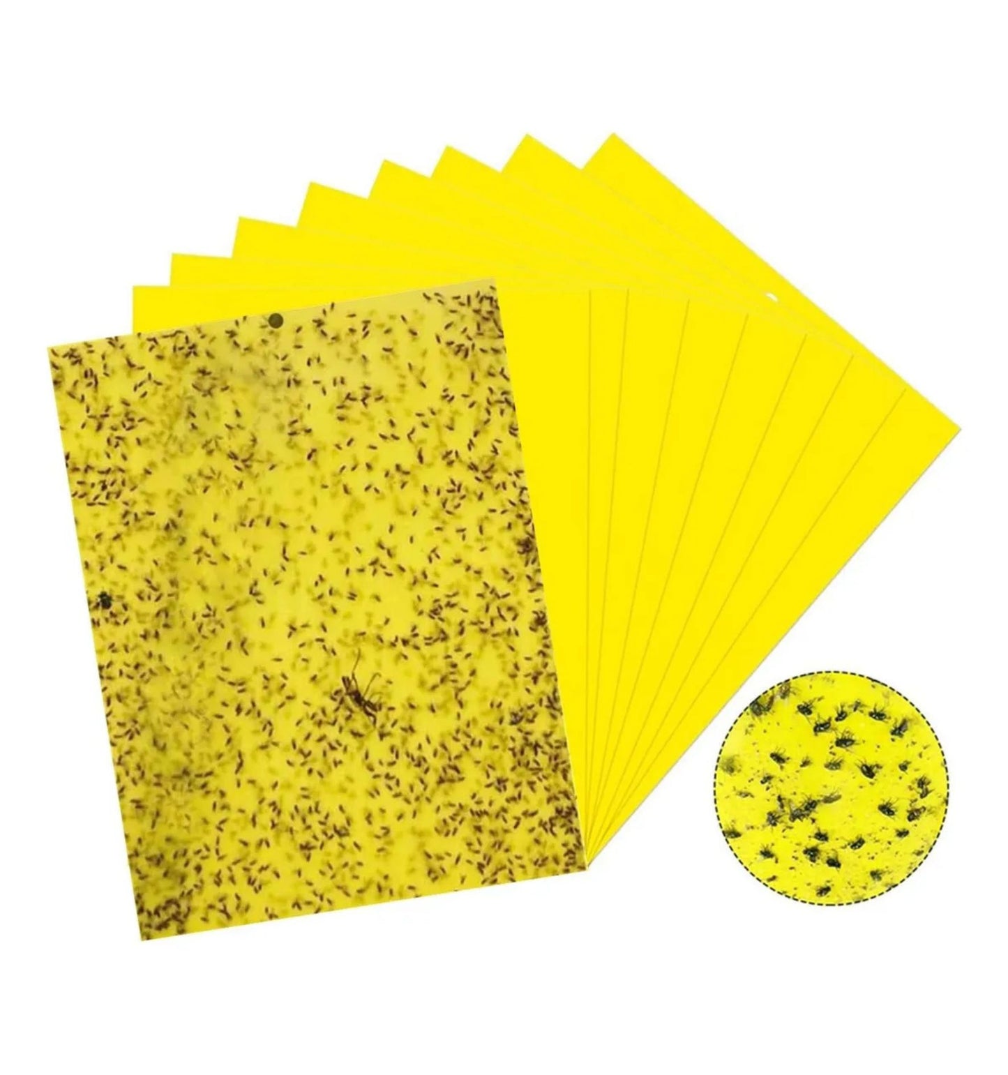 Trampas Adhesivas Amarillas 10u – Mosquitas y Plagas Voladoras