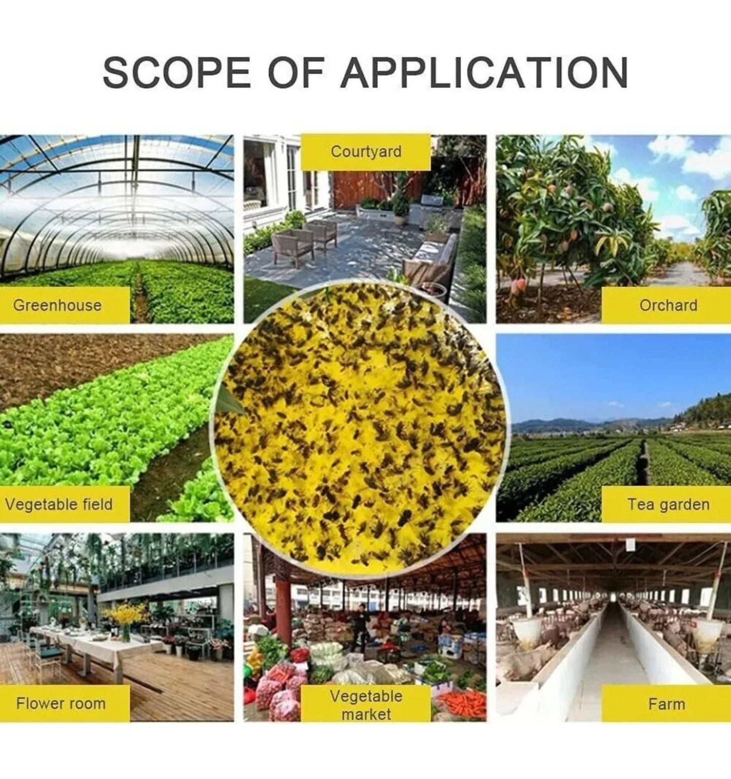 Trampas Adhesivas Amarillas 10u – Mosquitas y Plagas Voladoras