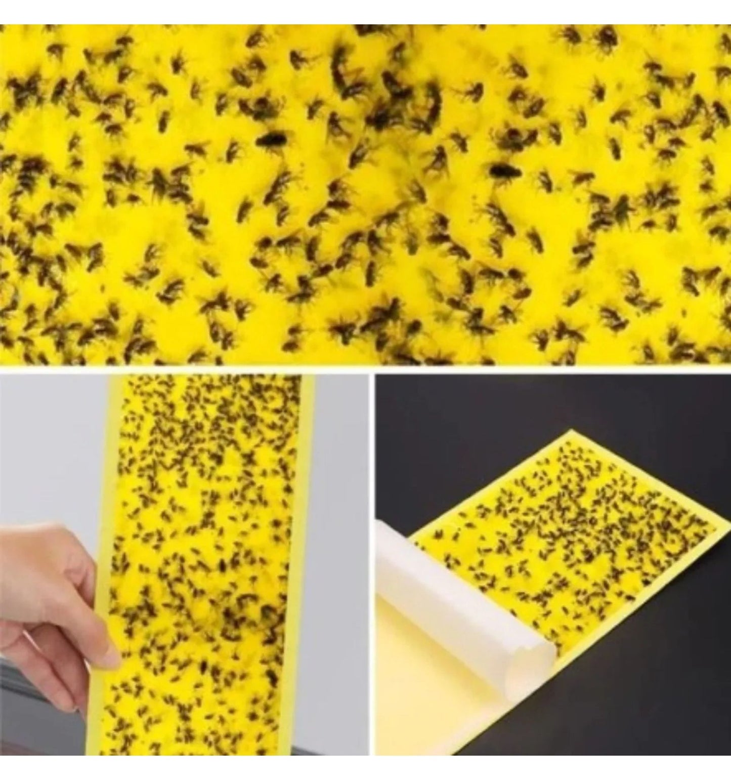 Trampas Adhesivas Amarillas 10u – Mosquitas y Plagas Voladoras