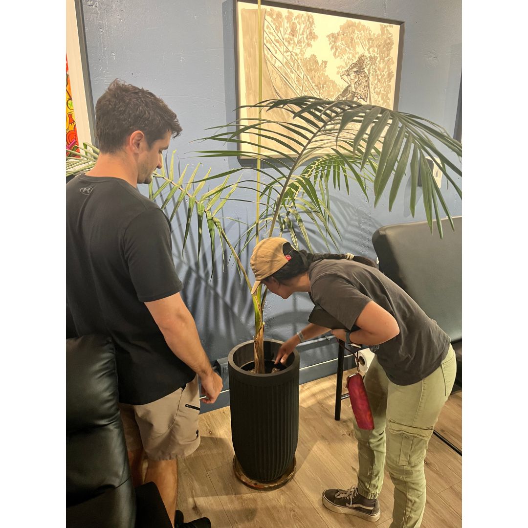 Asesoría Presencial Intermedia – Jardines Medianos (51–150 m²)