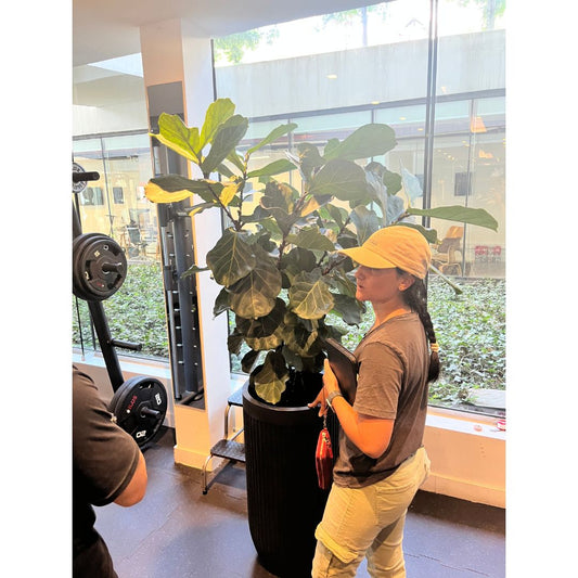 Asesoría Presencial Avanzada – Jardines Grandes (150+ m²)