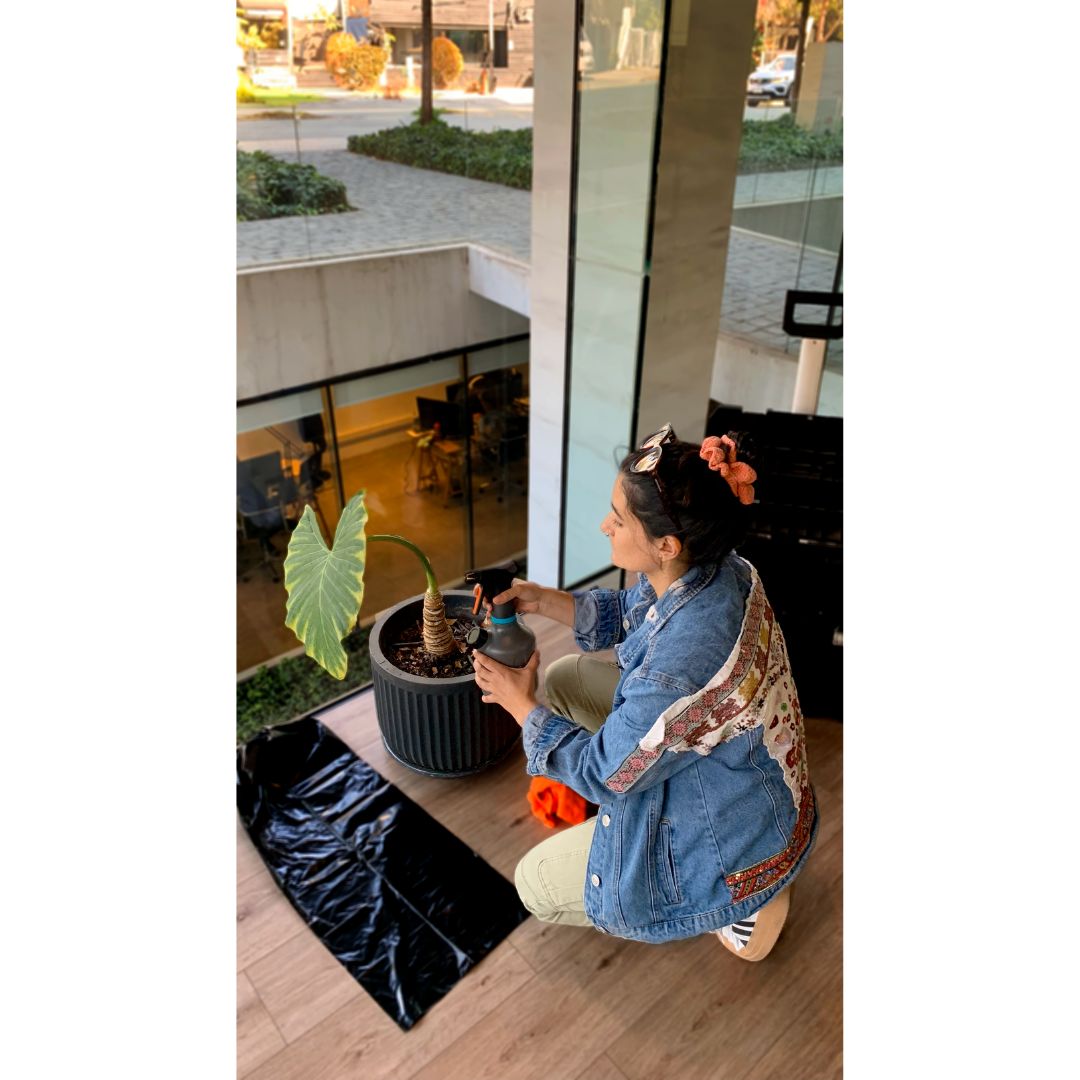 Asesoría Presencial Avanzada – Jardines Grandes (150+ m²)