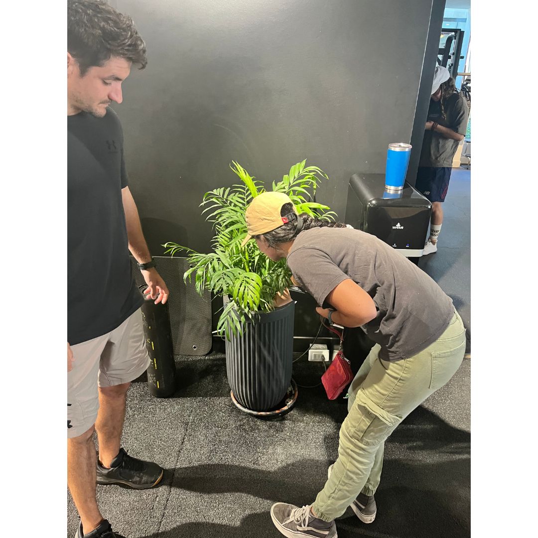 Asesoría Presencial Avanzada – Jardines Grandes (150+ m²)