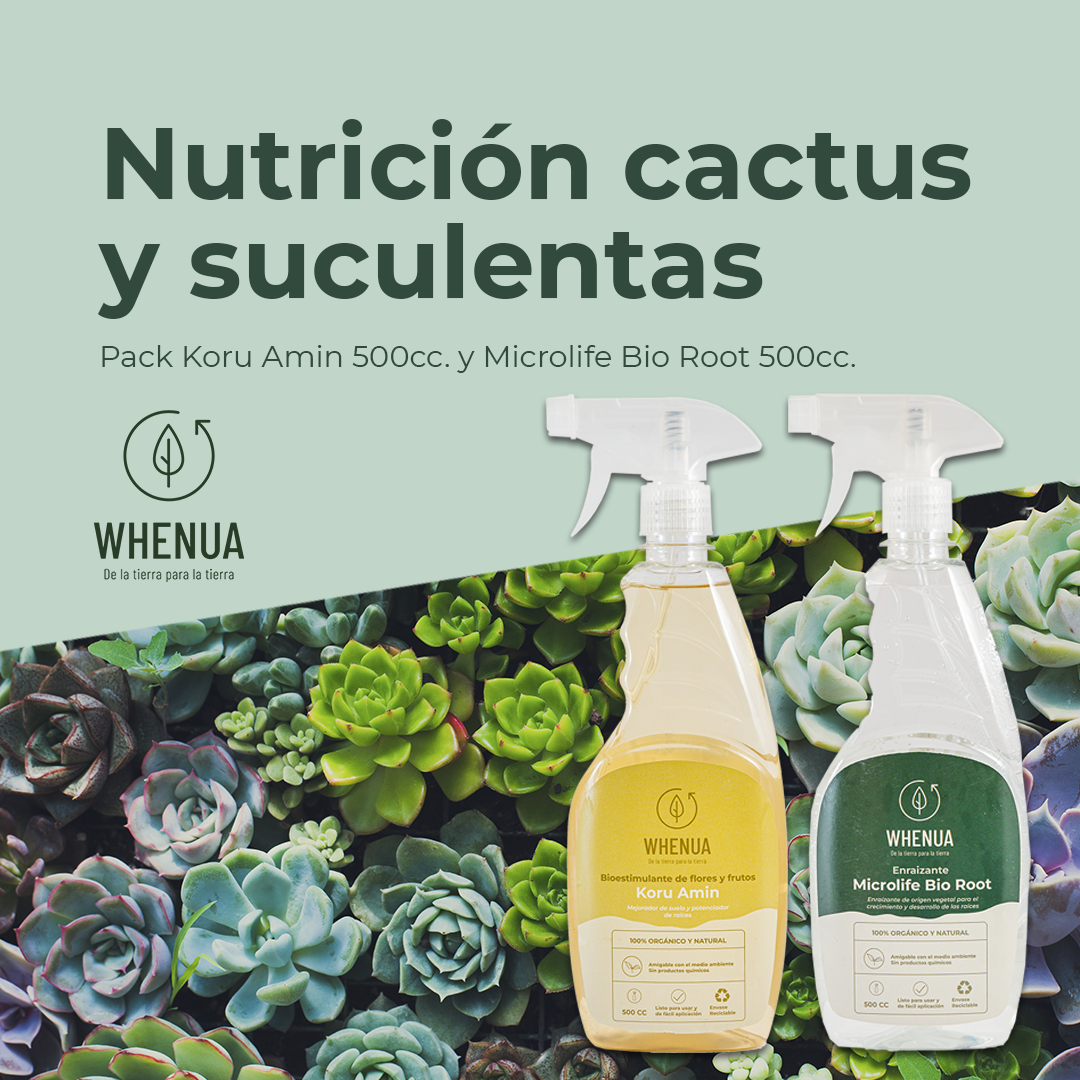 Nutrición Cactus y Suculentas
