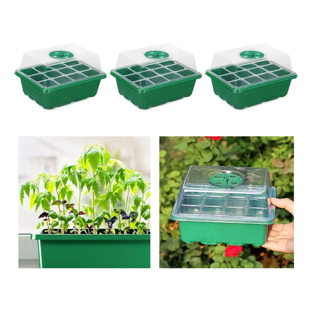Pack De 3 Germinadores Para Semilleros Domésticos De Inverna