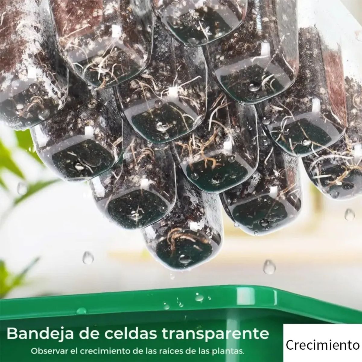 Pack De 3 Germinadores Para Semilleros Domésticos De Inverna