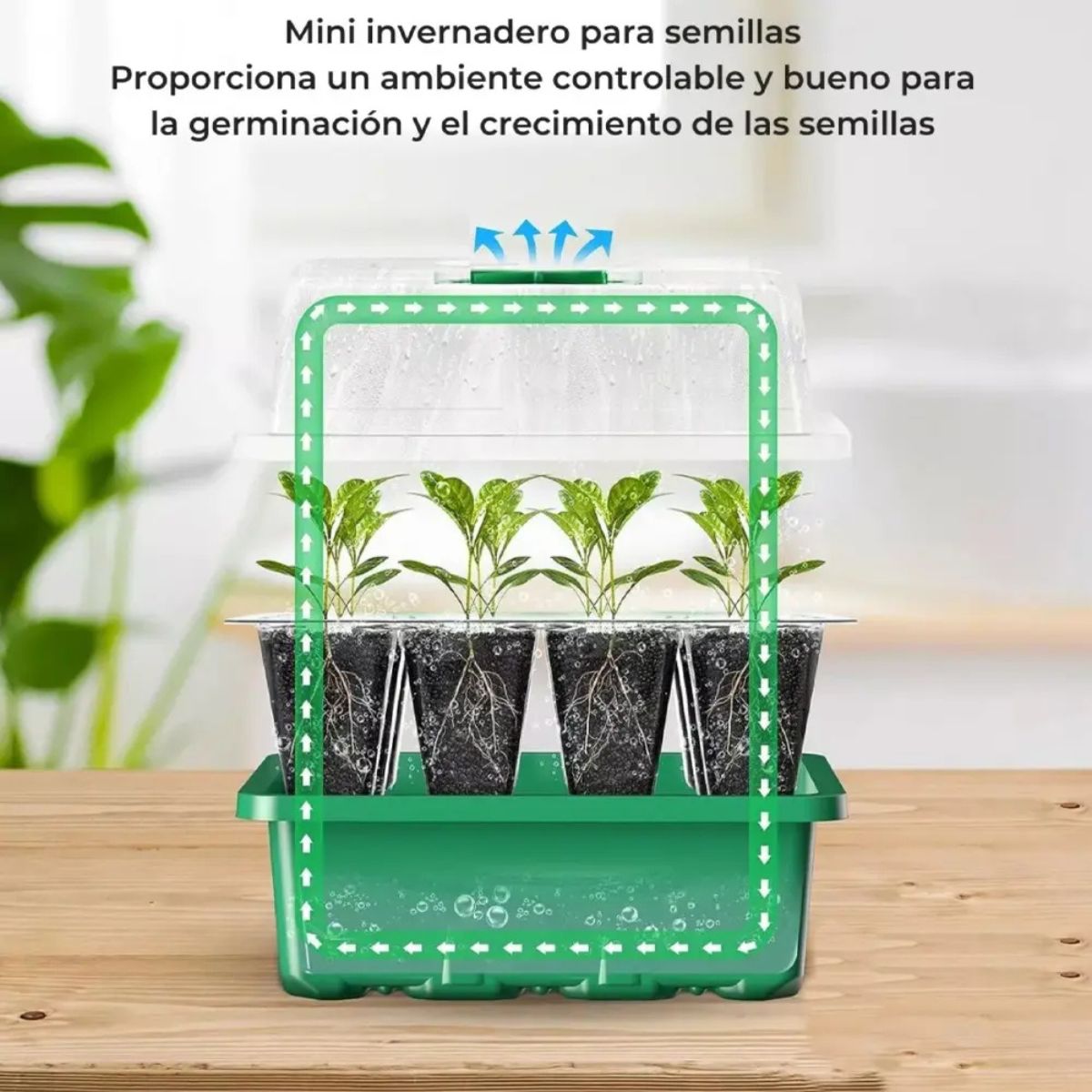 Pack De 3 Germinadores Para Semilleros Domésticos De Inverna