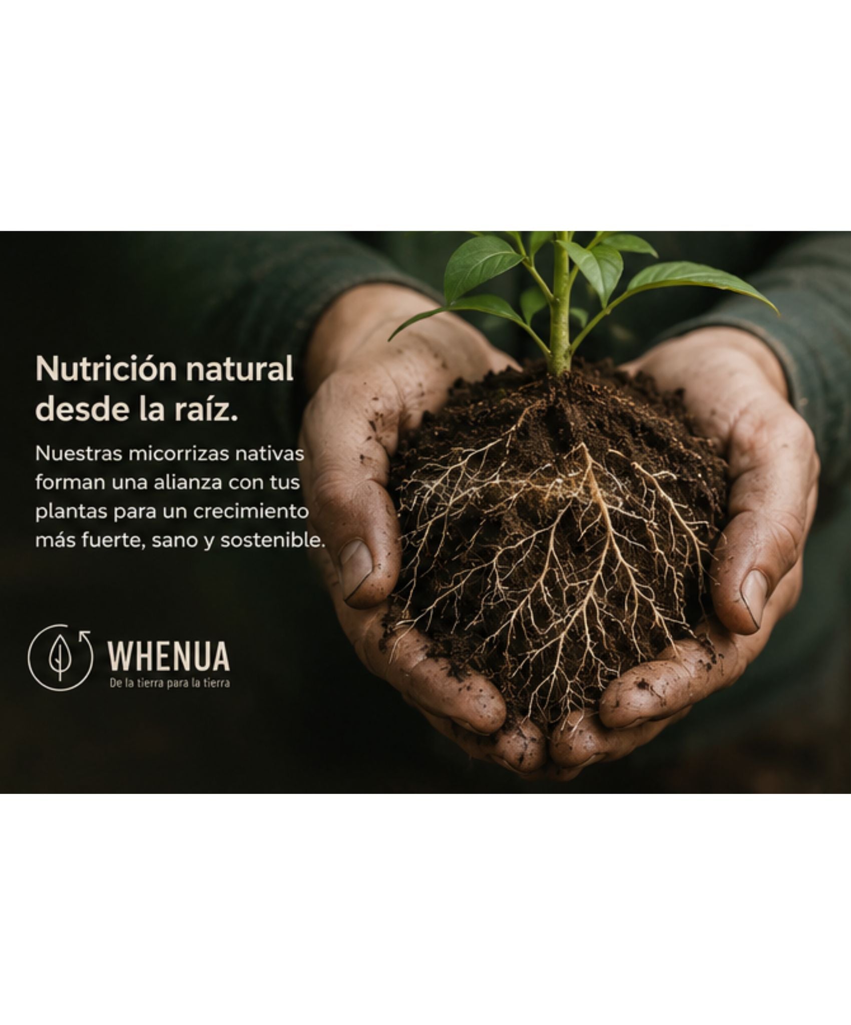 Kai Rhiza Whenua — nutrición natural desde la raíz