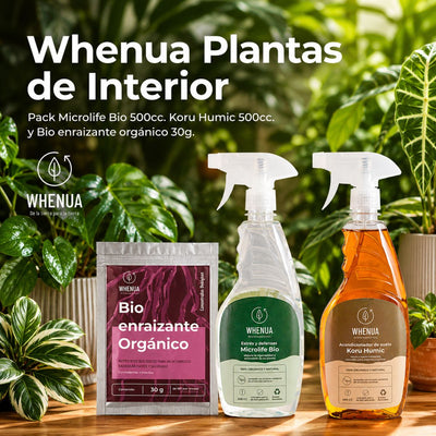 Pack Plantas de Interior Decaídas — Cuidado Integral