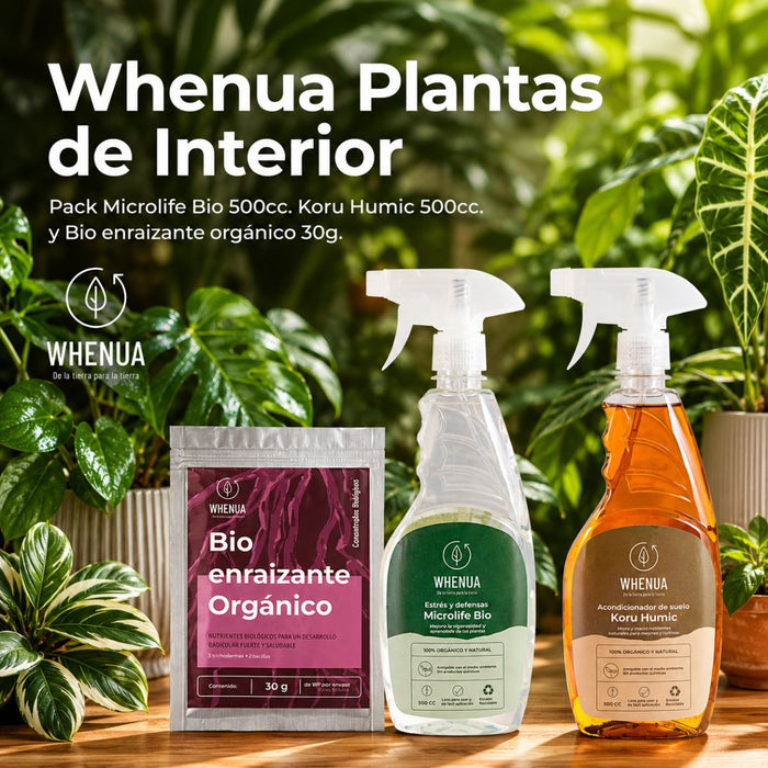 Pack Plantas de Interior Decaídas — Cuidado Integral