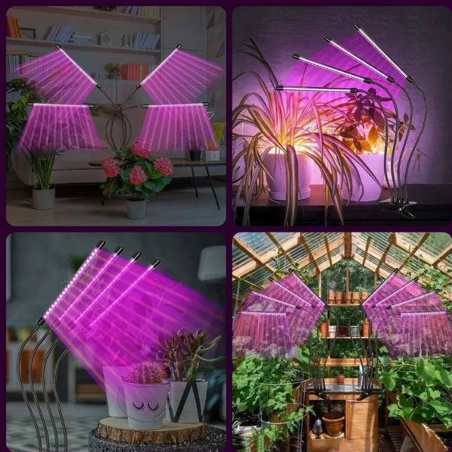 Lámpara LED de Cultivo para Plantas de Interior 4 Cabezales Ajustables USB | Crecimiento, Floración y Huertos Indoor