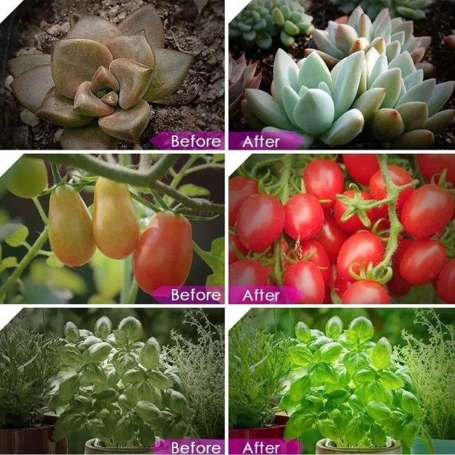 Lámpara LED de Cultivo para Plantas de Interior 4 Cabezales Ajustables USB | Crecimiento, Floración y Huertos Indoor