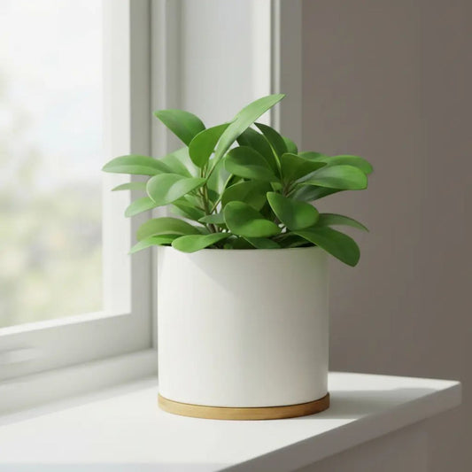 Macetero de Cerámica Nórdico con Base de Bambú 15,5 cm