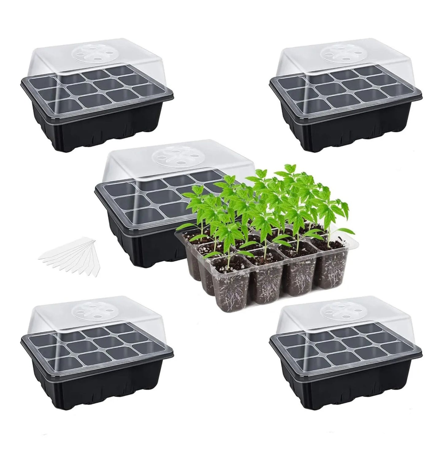 Pack 5 Germinadores de Semillas – Mini Invernadero con Semillero