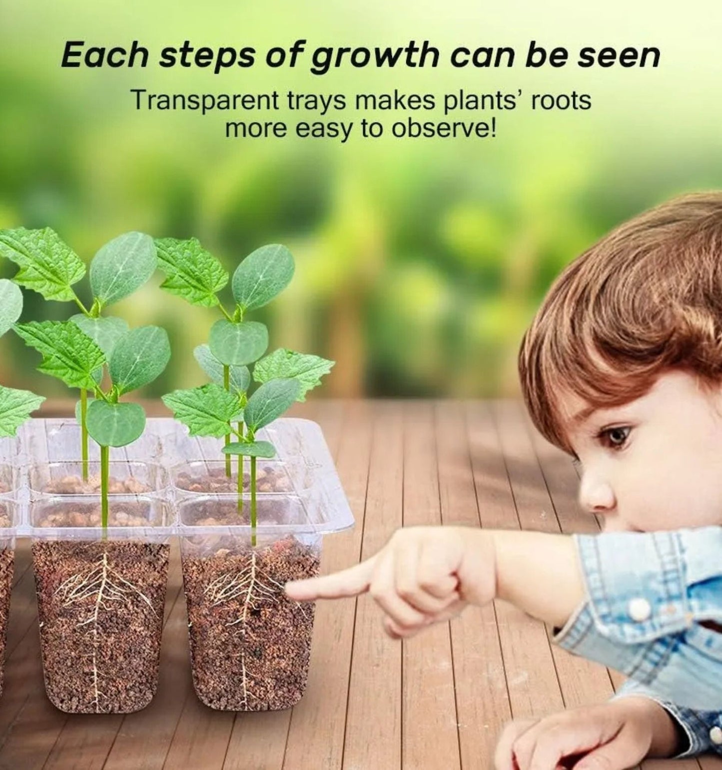 Pack 5 Germinadores de Semillas – Mini Invernadero con Semillero