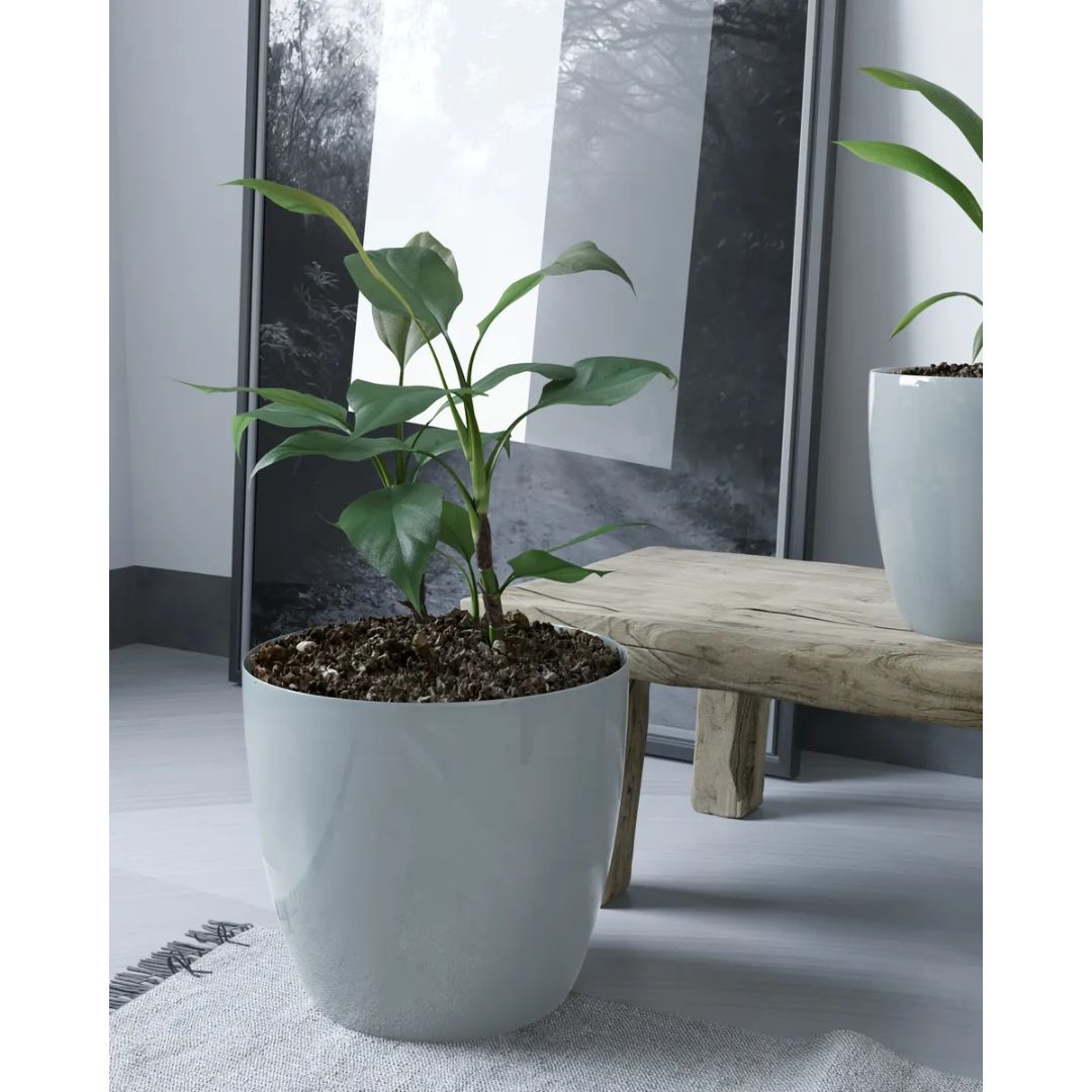 Pack x2 Maceteros Amalfi Premium GRIS N°22 – 5,3 Litros | Plástico Reforzado Brillante